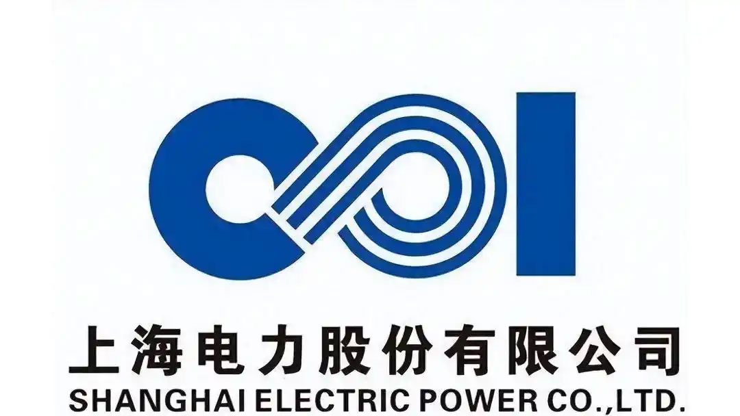 上海某某发电有限责任公司