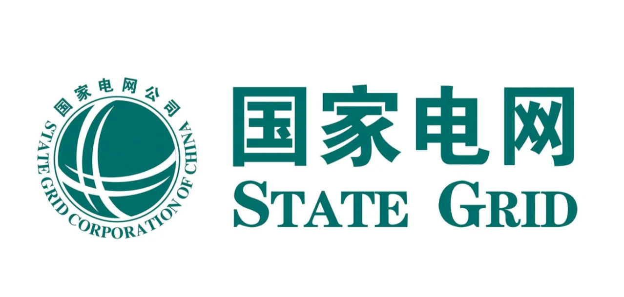 国网某某电力有限公司